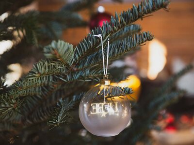 Christbaumkugel | © Urlaub am Bauernhof / Pascal Baronit Christbaumkugel auf Christbaum | © Urlaub am Bauernhof / Pascal Baronit