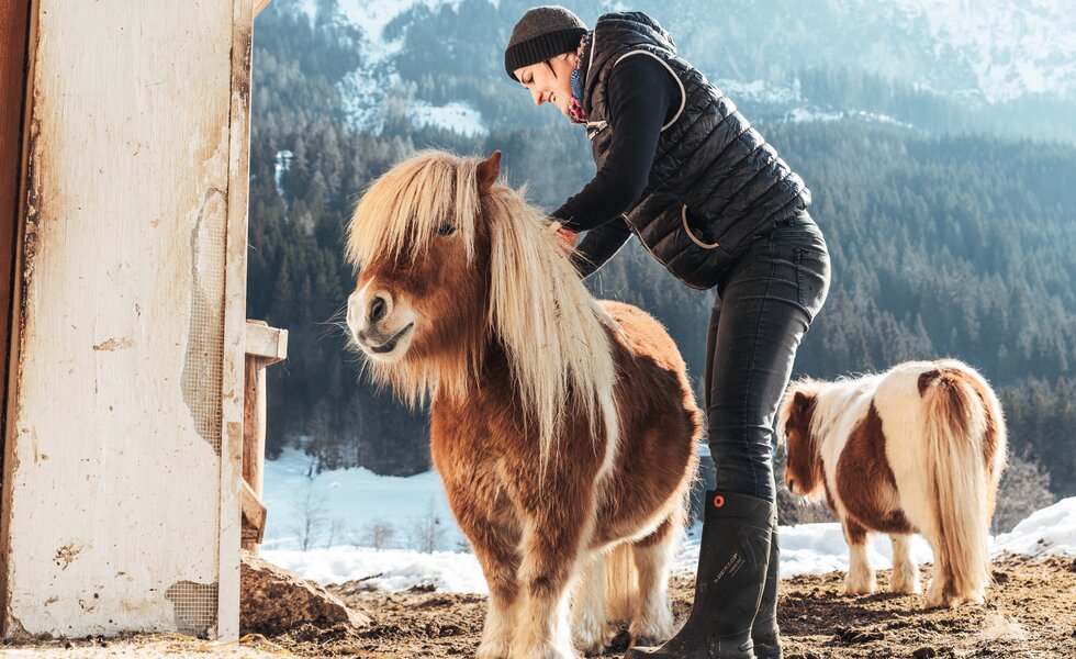 Ein Mensch in dunkler Winterbekleidung streichelt einen rötlichen, struppigen Pony auf verschneiter Umgebung. Neben dem Pony steht ein weiteres Pferd. | © Urlaub am Bauernhof / Punkt und Komma