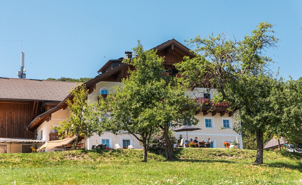 Bauernhof mit Bäumen davor | © Urlaub am Bauernhof / Punkt und Komma