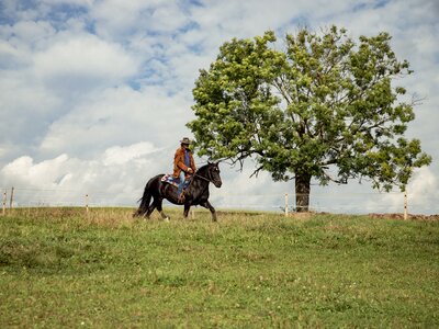 Bauer reitet über die Wiese | © Urlaub am Bauernhof Österreich / Andreas Hofer Bauer reitet über die Wiese am Pferdehof Stockner auf der Teichalm | © Urlaub am Bauernhof Österreich / Andreas Hofer