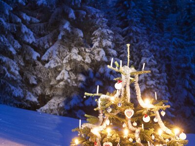 geschmückter Christbaum | © Urlaub am Bauernhof / Hans Huber geschmückter Christbaum im Schnee | © Urlaub am Bauernhof / Hans Huber
