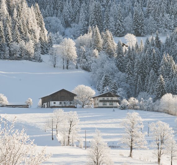 Verschneiter, idyllischer Berglandschaft mit Almhütten und Bäumen, die von Schnee bedeckt sind. Eine friedliche Winterstimmung wird durch die Ruhe und Harmonie der Szenerie vermittelt. | © Urlaub am Bauernhof / Hans Huber
