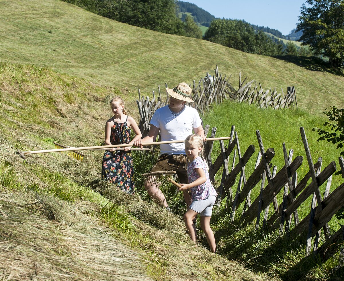 Heuarbeit im Sommer, am Reitbauernhof in Großarl, Salzburger Land | © Urlaub am Bauernhof Salzburger Land / Hans Huber Heuarbeit im Sommer, am Reitbauernhof in Großarl, Salzburger Land | © Urlaub am Bauernhof Salzburger Land / Hans Huber