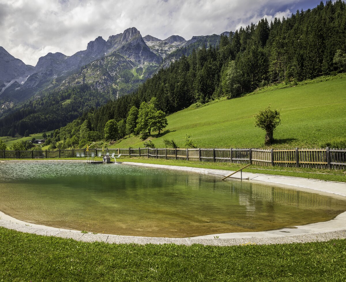 Schwimmteich mit Ausblick auf die Berge am Berghof Pension Wildau in Sankt Martin am Tennengebirge | © Urlaub am Bauernhof im SalzburgerLand / Bernd Suppan Schwimmteich am Gasthof Pension Wildau in Sankt Martin am Tennengebirge im SalzburgerLand mit Ausblick auf die umliegenden Berge. | © Urlaub am Bauernhof im SalzburgerLand / Bernd Suppan
