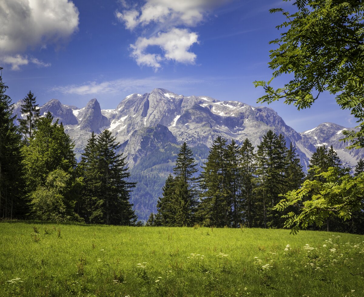 Gebirge, Landschaft, Werfenweng, Leitengut, Salzburger Land | © Urlaub am Bauernhof Salzburger Land / Bernd Suppan Gebirge, Landschaft, Werfenweng, Leitengut, Salzburger Land | © Urlaub am Bauernhof Salzburger Land / Bernd Suppan
