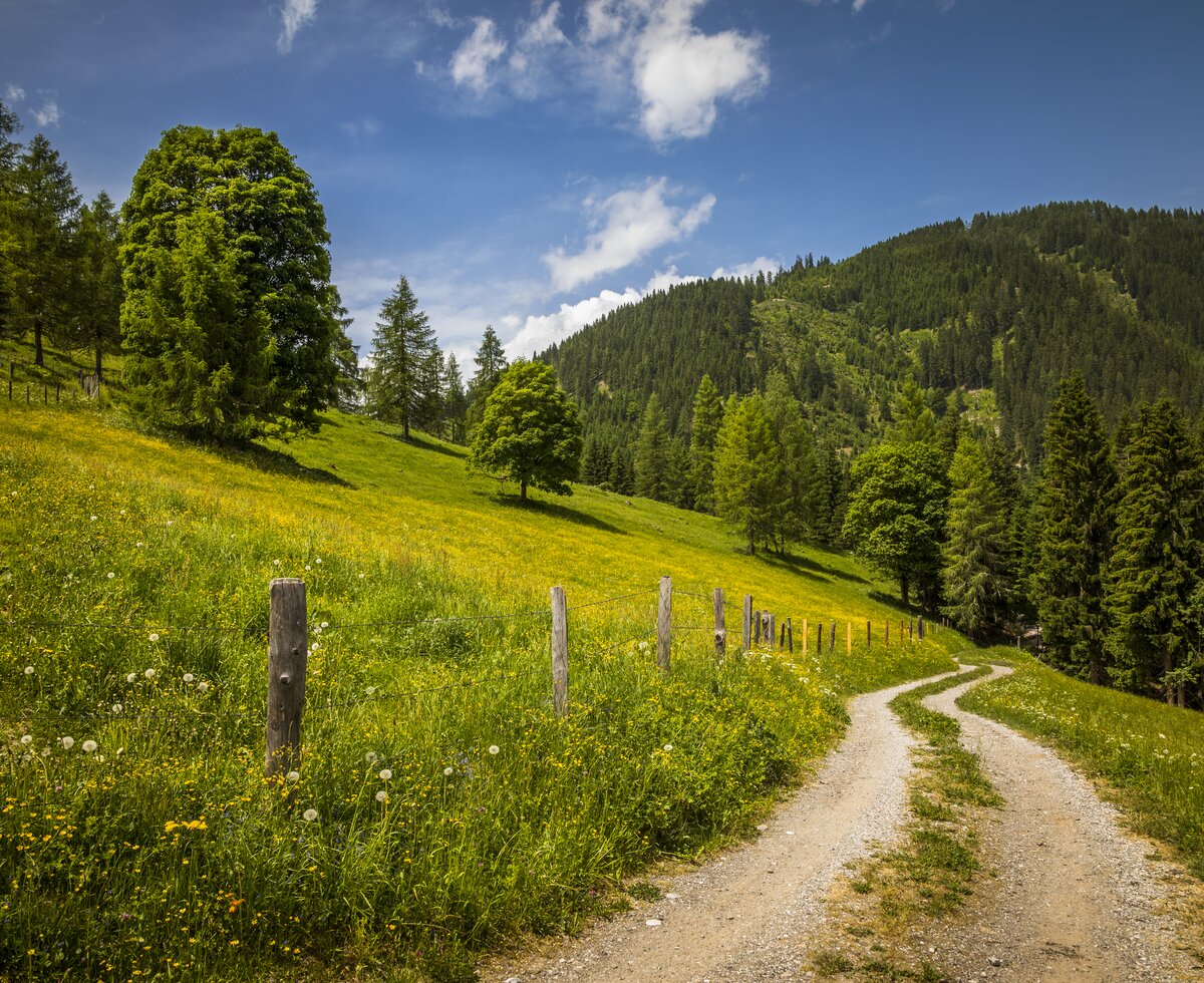 Schotterstraße im Almgebiet, Helferalm Niedernfritz, Salzburger Land | © Urlaub am Bauernhof Salzburger Land / Bernd Suppan Schotterstraße im Almgebiet, Helferalm Niedernfritz, Salzburger Land | © Urlaub am Bauernhof Salzburger Land / Bernd Suppan
