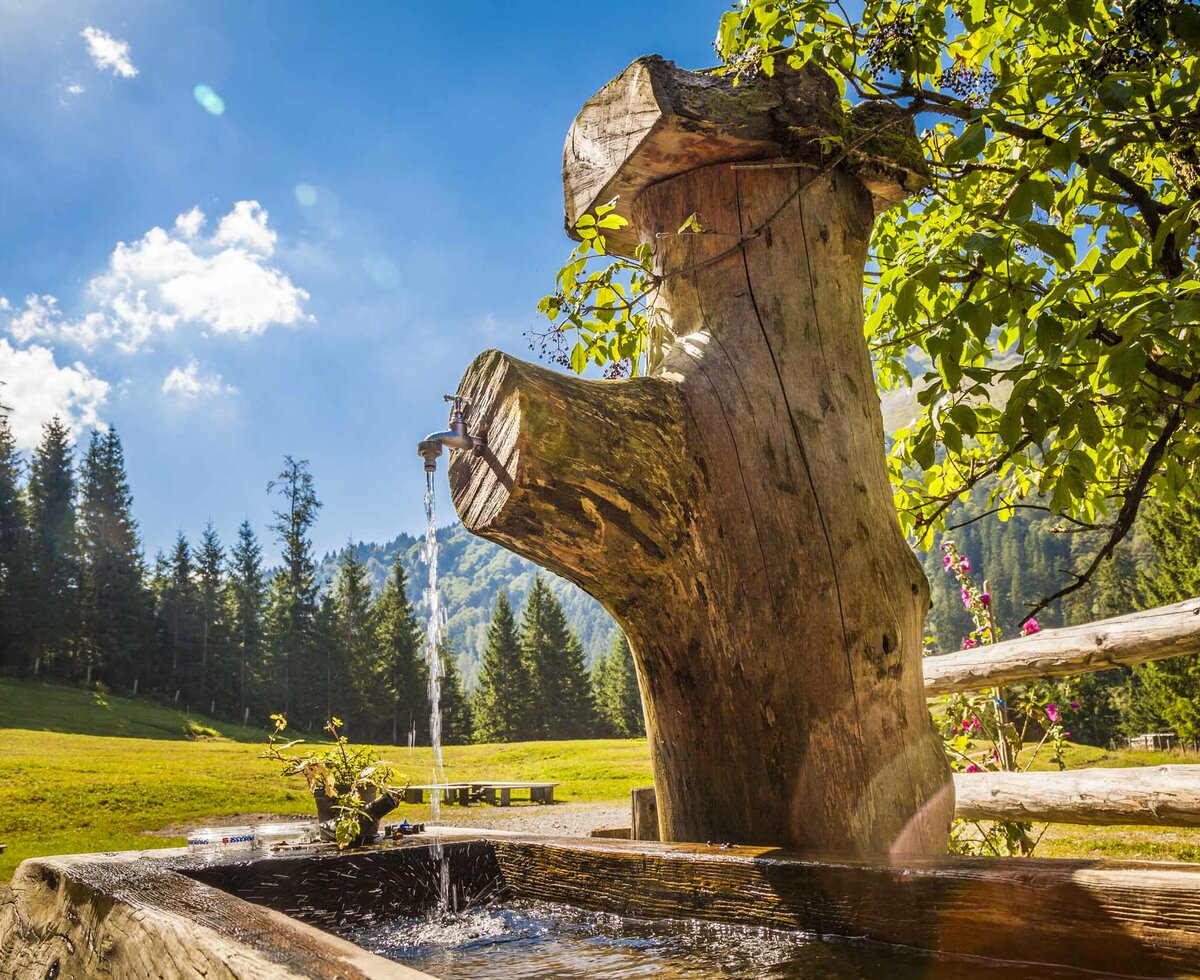 Brunntrog auf der Grögernalm in Faistenau | © Urlaub am Bauernhof Salzburger Land / Bernd Suppan Brunntrog auf der Grögernalm in Faistenau im Salzburger Land | © Urlaub am Bauernhof Salzburger Land / Bernd Suppan