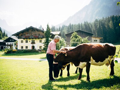 Bauer streichelt Kühe auf der Weide | © Urlaub am Bauernhof im SalzburgerLand / Daniel Gollner Klaus Vitzthum streichelt seine Pinzgauer Kühe auf der Weide vor dem Götzbauernhof in Unken. | © Urlaub am Bauernhof im SalzburgerLand / Daniel Gollner