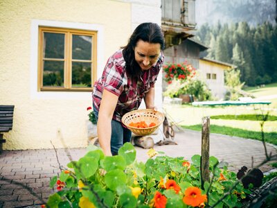 Bäuerin sammelt Kräuter | © Urlaub am Bauernhof im SalzburgerLand / Daniel Gollner Monika Vitzthum sammelt Kapuzinerkresseblüten | © Urlaub am Bauernhof im SalzburgerLand / Daniel Gollner
