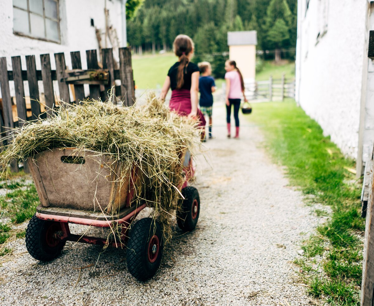 Mädchen zieht Heuwagen | © Urlaub am Bauernhof im SalzburgerLand / Daniel Gollner Ein Mädchen zieht einen Heuwagen hinter sich her. | © Urlaub am Bauernhof im SalzburgerLand / Daniel Gollner