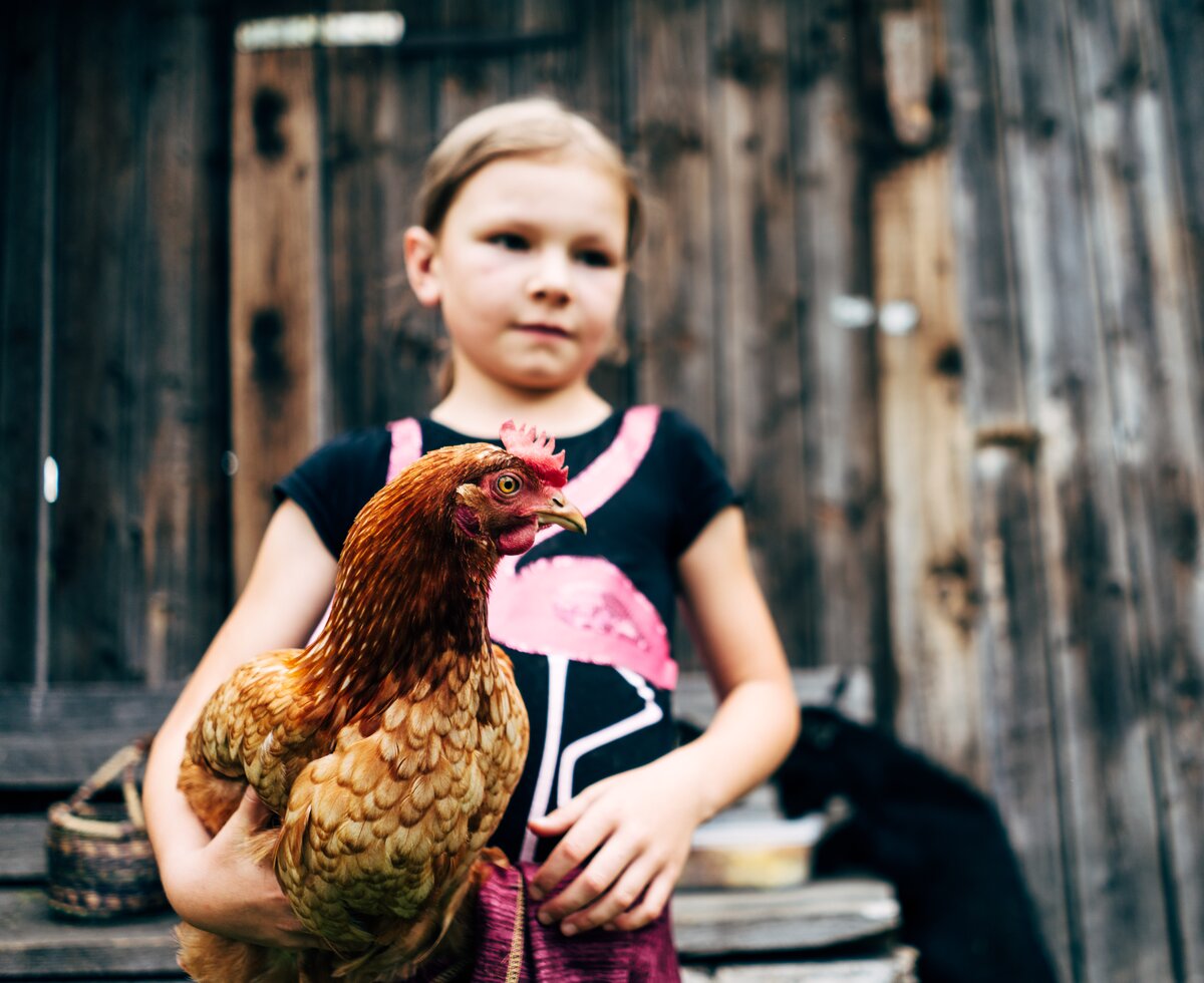 Mädchen mit Huhn | © Urlaub am Bauernhof im SalzburgerLand / Daniel Gollner Ein Mädchen hält ein Huhn am Arm. | © Urlaub am Bauernhof im SalzburgerLand / Daniel Gollner