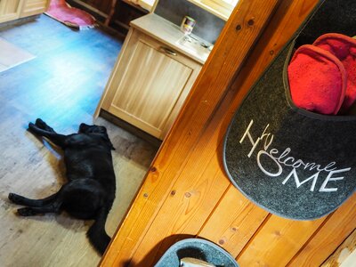 Schlafender Hund | © www.wiederunterwegs.com / Angelika Mandler-Saul Ein Hund schläft auf dem Holzboden in der Almhütte. | © www.wiederunterwegs.com / Angelika Mandler-Saul