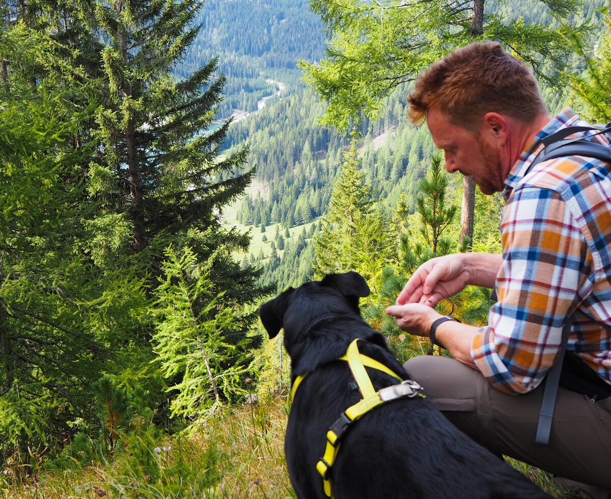 Mann mit Hund beim Wandern | © www.wiederunterwegs.com / Angelika Mandler-Saul Mann mit Hund beim Wandern | © www.wiederunterwegs.com / Angelika Mandler-Saul