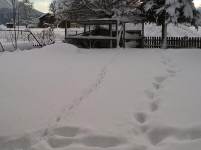 Garten, Spuren im Schnee, Salzburger Land | © Urlaub am Bauernhof Salzburger Land / Johannes Handlechner Garten, Spuren im Schnee, Salzburger Land | © Urlaub am Bauernhof Salzburger Land / Johannes Handlechner
