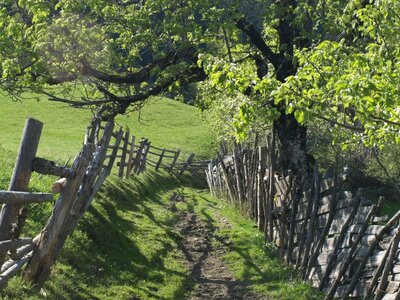 Feldweg mit Holzzaun am Biohof Maurachgut im Gasteinertal | © Biohof Maurachgut / Familie Schuster
