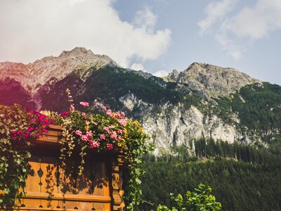 Berge, Balkonblumen, Archehof Öbristhof in Kleinarl, Salzburger Sportwelt | © Urlaub am Bauernhof Salzburger Land / Matthias Gruber Berge, Balkonblumen, Archehof Öbristhof in Kleinarl, Salzburger Sportwelt | © Urlaub am Bauernhof Salzburger Land / Matthias Gruber