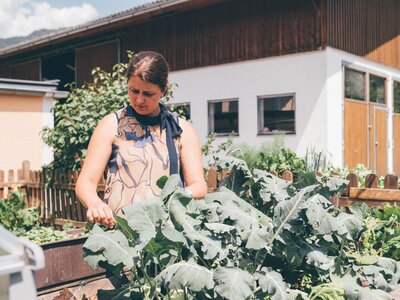 Bauerngarten Conny Rohrmoser Reiterhof, St. Johann, Salzburger Land | © Urlaub am Bauernhof Salzburger Land / Daniel Gollner Bauerngarten Conny Rohrmoser Reiterhof, St. Johann, Salzburger Land | © Urlaub am Bauernhof Salzburger Land / Daniel Gollner