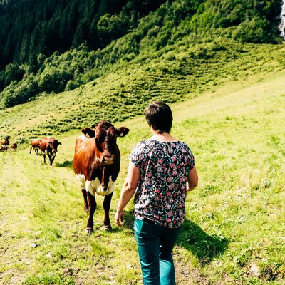 Angelika Kaltenhauser besucht ihre Kühe auf der Alm. | © Urlaub am Bauernhof im SalzburgerLand / Daniel Gollner