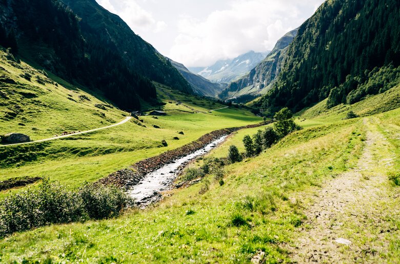Almlandschaft mit Bach im Nationalpark Hohe Tauern | © Urlaub am Bauernhof im SalzburgerLand / Daniel Gollner
