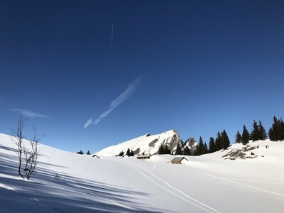Winterlicher Blick auf den Schafberg | © Margret Appesbacher Blick von der Vormaueralm auf den Schafberg im Winter | © Margret Appesbacher