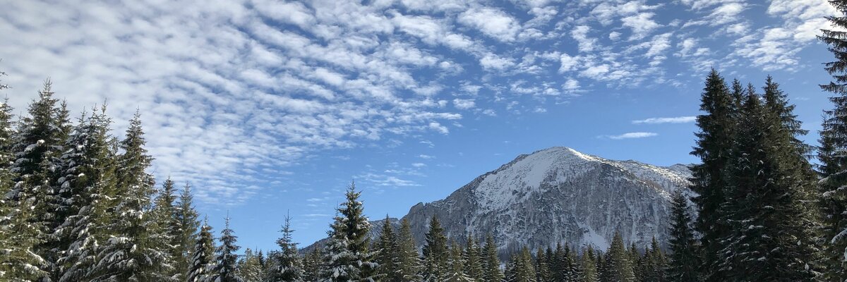Winterlandschaft auf der Postalm | © Margret Appesbacher