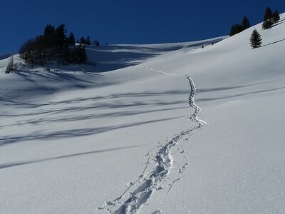 Schneeschuhspuren auf der Illingeralm | © Margret Appesbacher Schneeschuhspuren auf der Illingeralm | © Margret Appesbacher