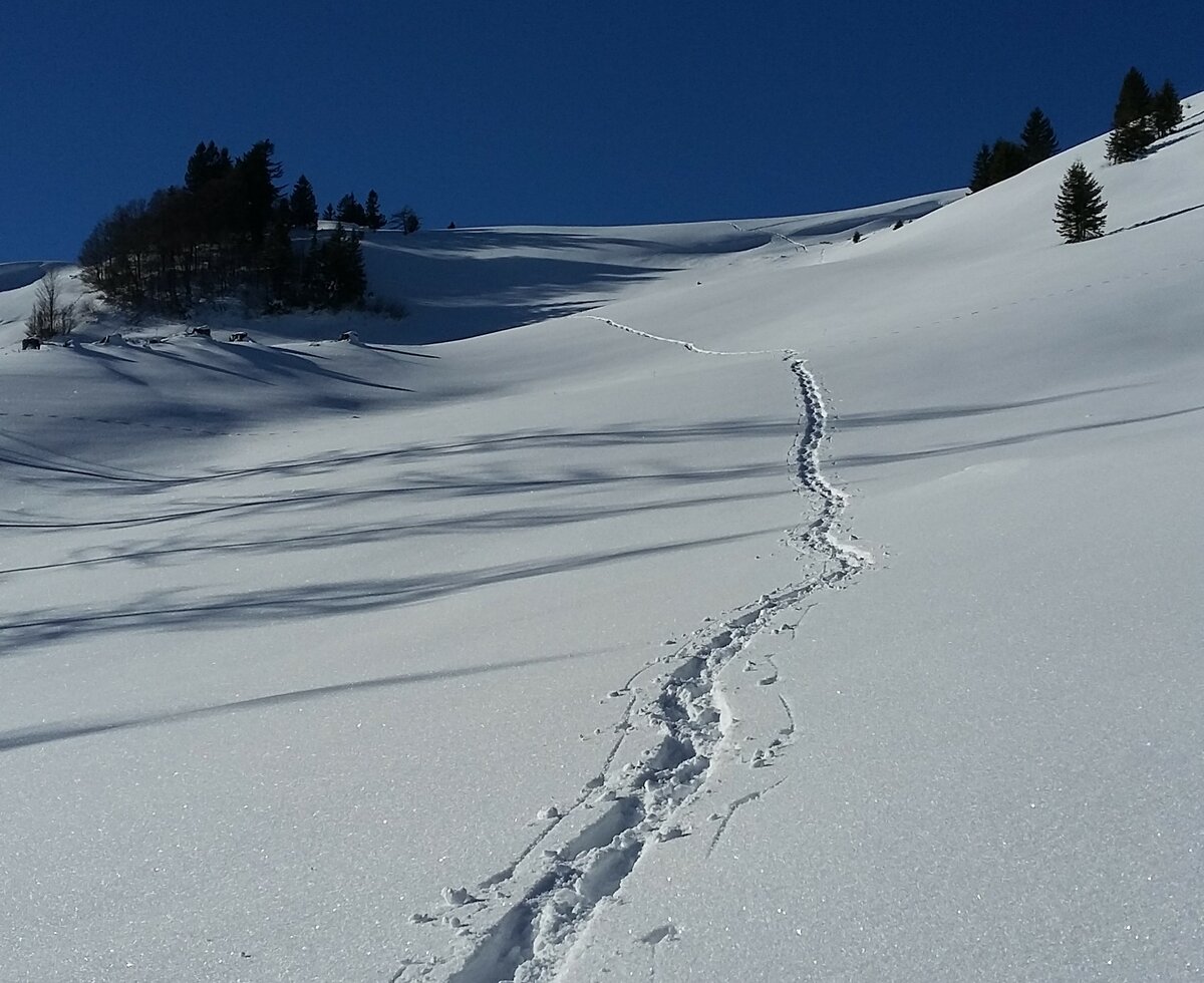 Schneeschuhspuren auf der Illingeralm | © Margret Appesbacher