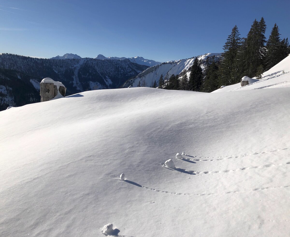 Winterlandschaft auf der Postalm | © Margret Appesbacher Winterlandschaft auf der Postalm | © Margret Appesbacher