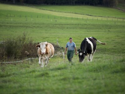 Bauer mit Kühen auf der Weide | © Urlaub am Bauernhof im SalzburgerLand / Lukas Ilgner Bauer mit Kühen auf der Weide | © Urlaub am Bauernhof im SalzburgerLand / Lukas Ilgner