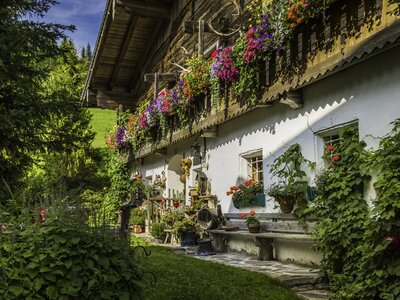 Berghof-Pension Wildau in St. Martin am Tennengebirge, SalzburgerLand | © Urlaub am Bauernhof / Bernd Suppan