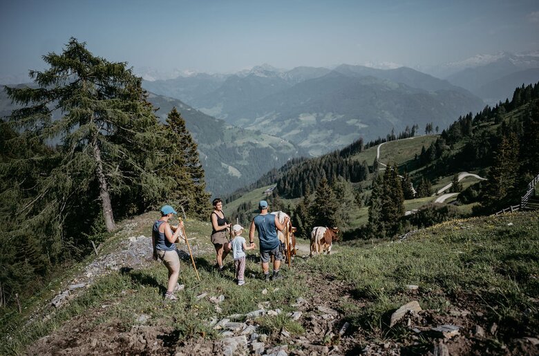Wanderung auf der Alm | © Urlaub am Bauernhof/ Nadia Jabil