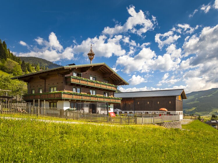 Unterbaumgarten in Flauch in der Salzburger Sportwelt. | © Urlaub am Bauernhof Salzburger Land /Bernd Suppan