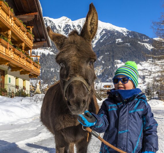 Bub mit Esel im Winter, Zittrauerhof, Gasteinertal, Salzburger Land | © Urlaub am Bauernhof Salzburger Land / Bernd Suppan