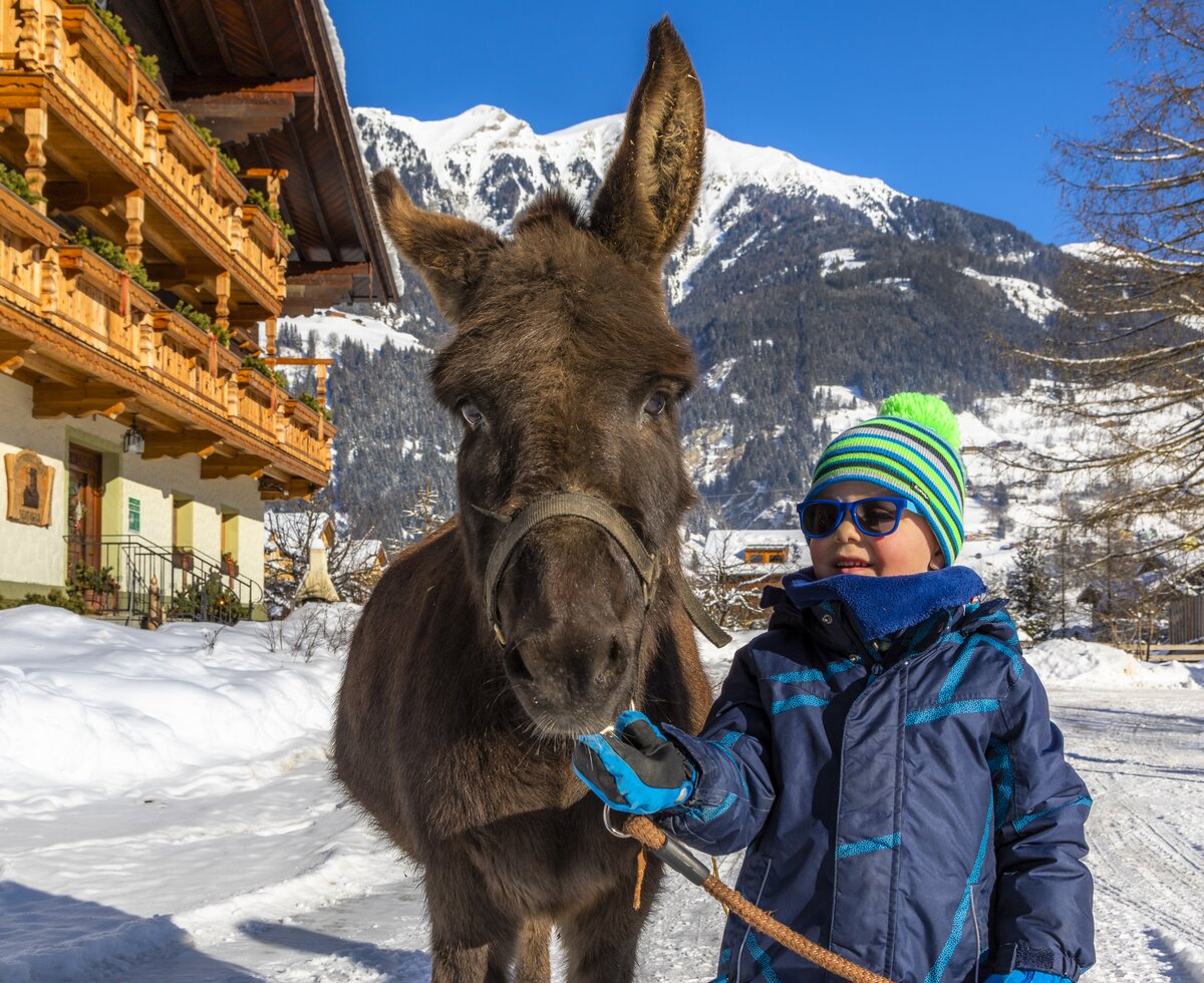 Boy with donkey in winter, Zittrauerhof, Gasteinertal region, Salzburger Land | © Urlaub am Bauernhof Salzburger Land / Bernd Suppan Boy with donkey in winter, Zittrauerhof, Gasteinertal region, Salzburger Land | © Urlaub am Bauernhof Salzburger Land / Bernd Suppan