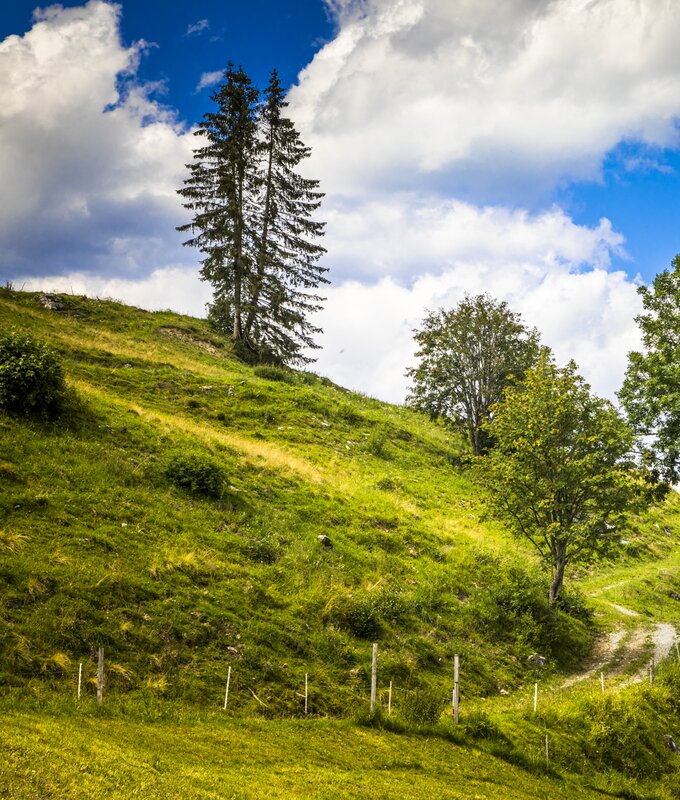 Wandern im Großarltal, Unterviehhausbauer, Salzburger Land | © Urlaub am Bauernhof / Bernd Suppan