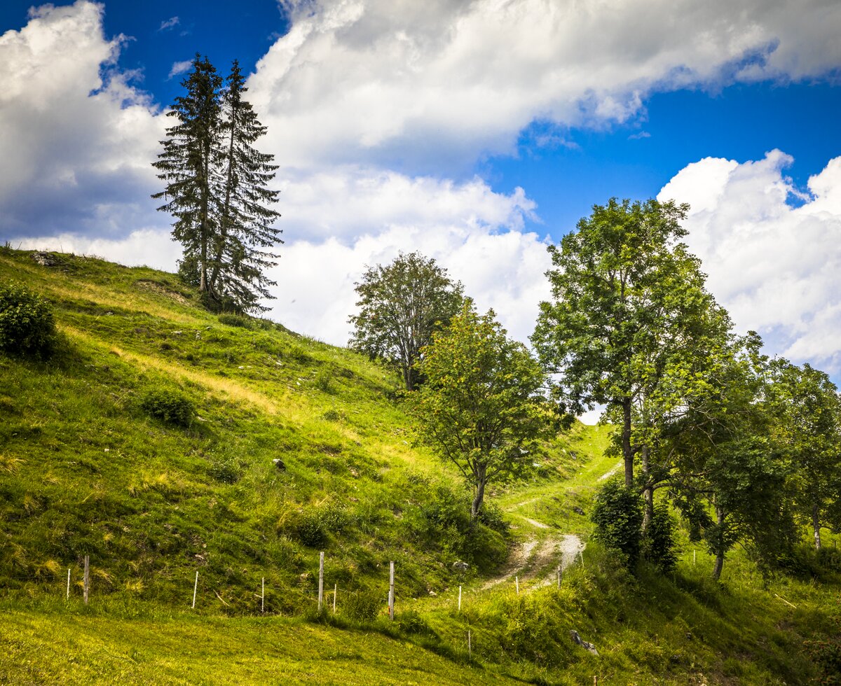 Wanderweg, Großarltal, Salzburger Land | © Urlaub am Bauernhof / Bernd Suppan Wandern im Großarltal, Unterviehhausbauer, Salzburger Land | © Urlaub am Bauernhof / Bernd Suppan