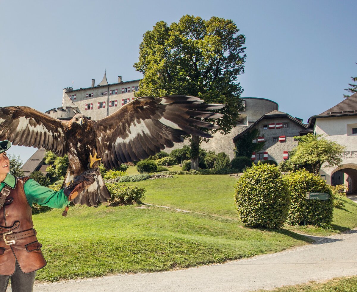 Greifvogelschau, Burg Hohenwerfen, Salzburger Land | © Salzburger Land Tourismus GmbH / Eva trifft. Greifvogelschau, Falkner, Greifvogel, Burg Hohenwerfen, Salzburger Land | © Salzburger Land Tourismus GmbH / Eva trifft.