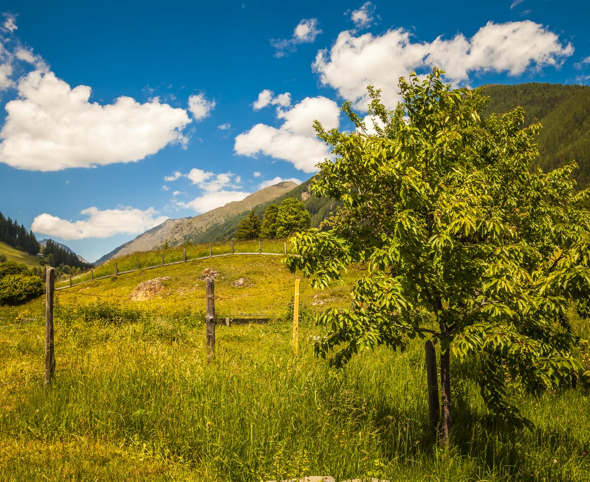 Lenzbauer Landschaftz Lessach, Salzburger Lungau | © Urlaub am Bauernhof / Bernd Suppan Lenzbauer Landschaftz Lessach, Salzburger Lungau | © Urlaub am Bauernhof / Bernd Suppan
