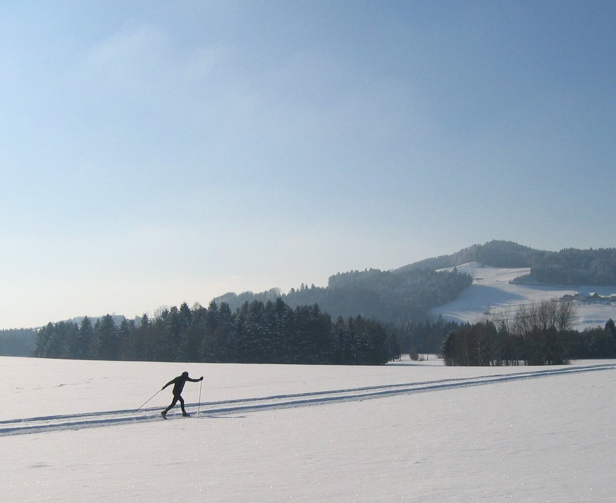 Langlaufen im Salzburger Seenland | © Salzburger Seenland Tourismus Langläufer auf einer Loipe im Salzburger Seenland, im Hintergrund die Hügellandschaft. | © Salzburger Seenland Tourismus