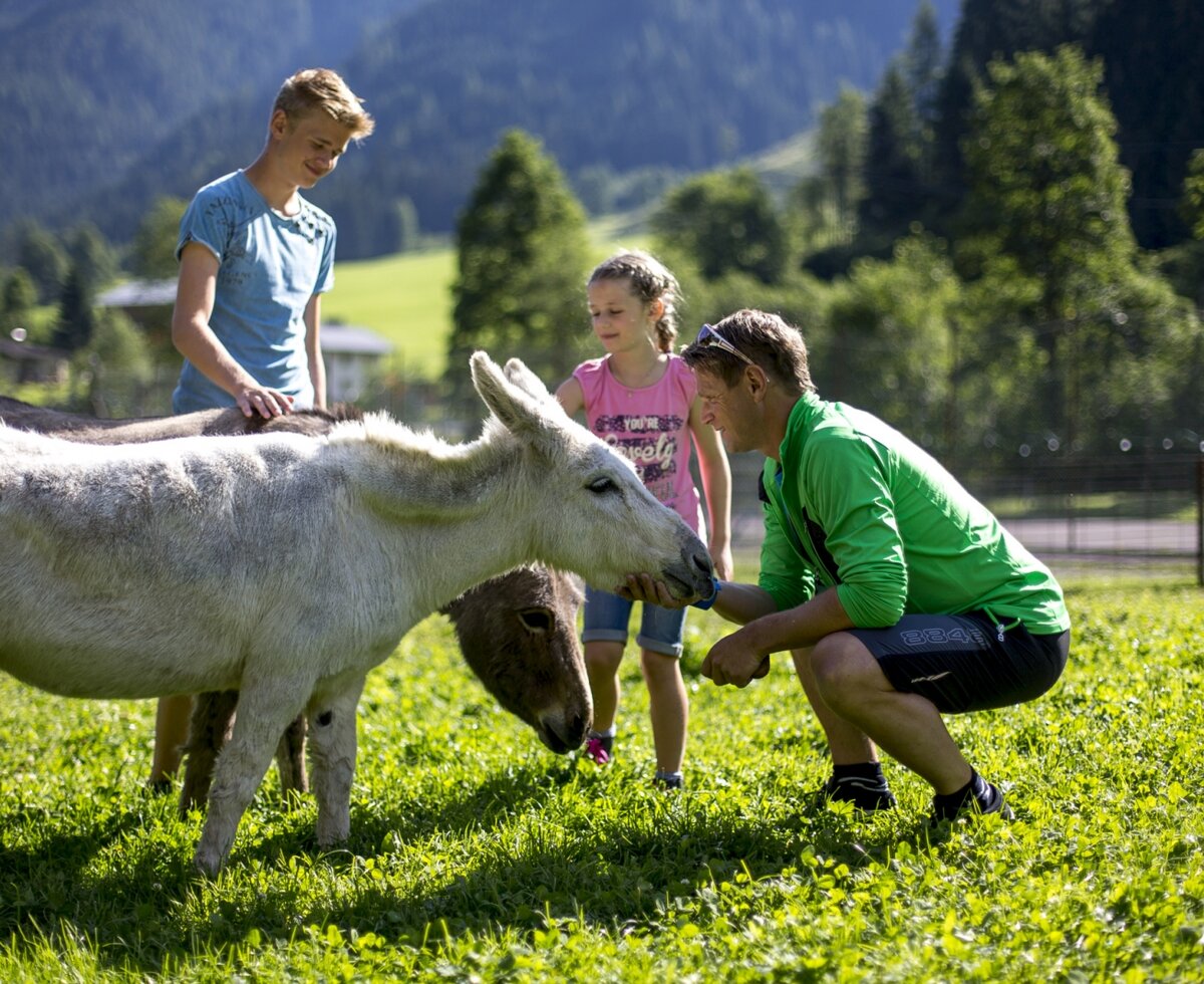 Streichelzoo im Freizeitpark & Wildpark in Untertauern, Salzburger Land | © Freizeitpark Untertauern / Tom Lamm Streichelzoo im Freizeitpark & Wildpark in Untertauern, Salzburger Land | © Freizeitpark Untertauern / Tom Lamm
