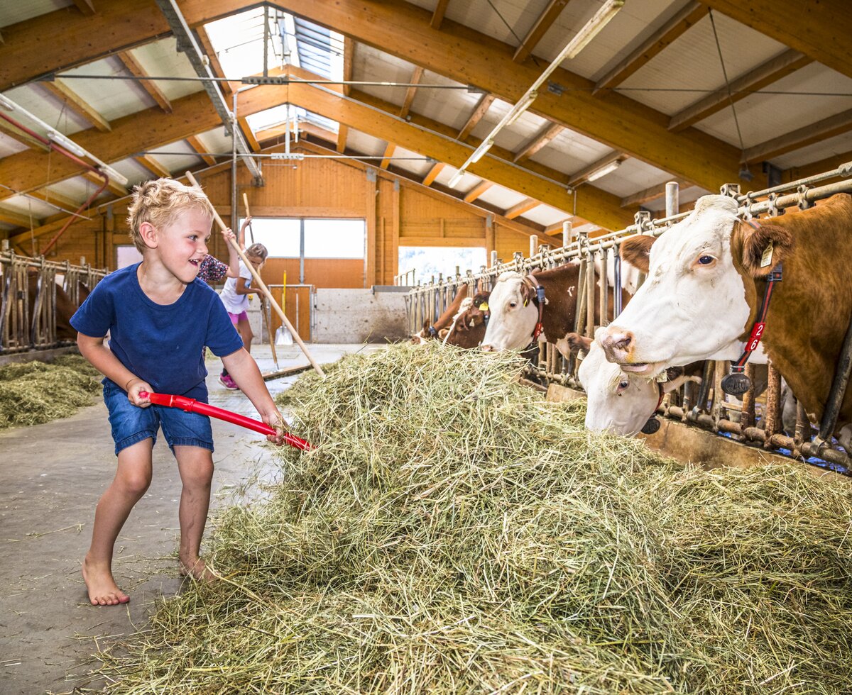 Boy in stable at Motzenhof in Adnet, Salzburger Land | © Urlaub am Bauernhof / Bernd Suppan Boy in stable at Motzenhof in Adnet, Salzburger Land | © Urlaub am Bauernhof / Bernd Suppan