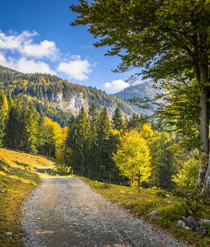 Spazierweg beim Lasserbauer in Krispl. | © Lasserbauer/UrlaubamBauernhof SalzburgerLand