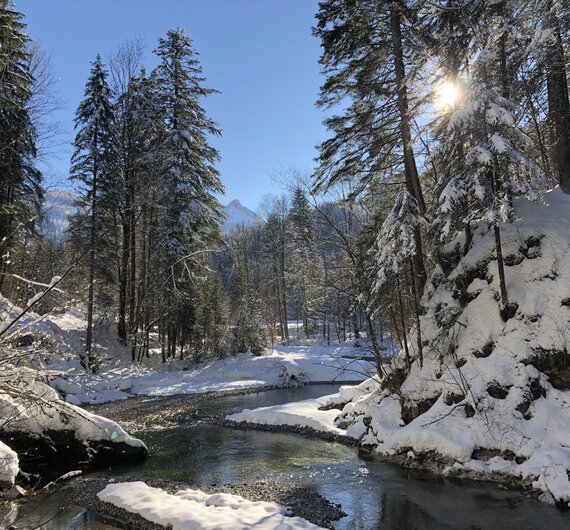 Die Sonne blinzelt durch die Bäume auf den winterlichen Zinkenbach in Abersee am Wolfgangsee im SalzburgerLand. | © Urlaub am Bauernhof im SalzburgerLand / Margret Appesbacher