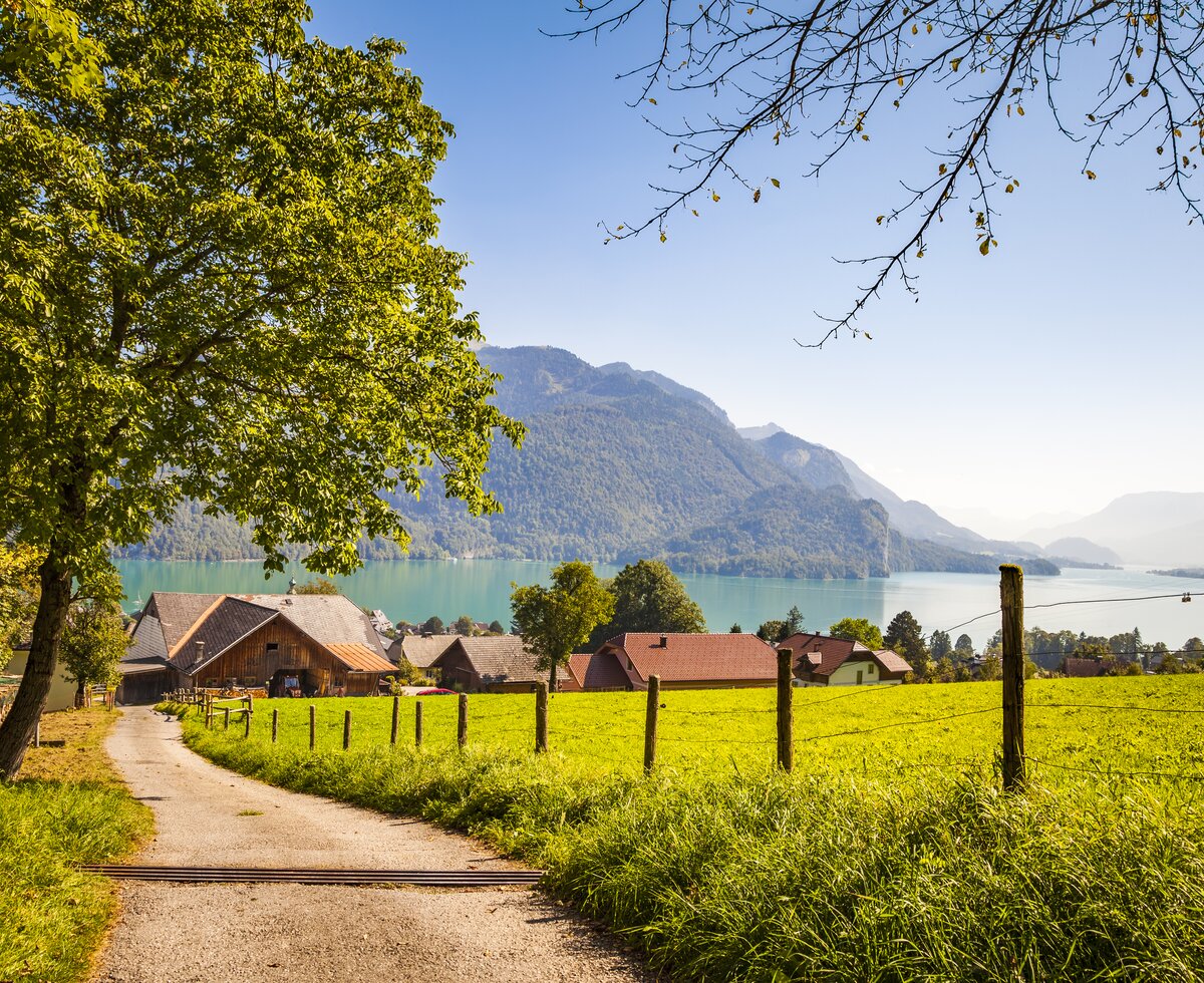 Blick auf den Wolfgangsee | © Urlaub am Bauernhof im SalzburgerLand / Bernd Suppan Blick über die Wiesen auf den Wolfgangsee vom Bio Archehof Eislbauer in Sankt Gilgen am Wolfgangsee. | © Urlaub am Bauernhof im SalzburgerLand / Bernd Suppan
