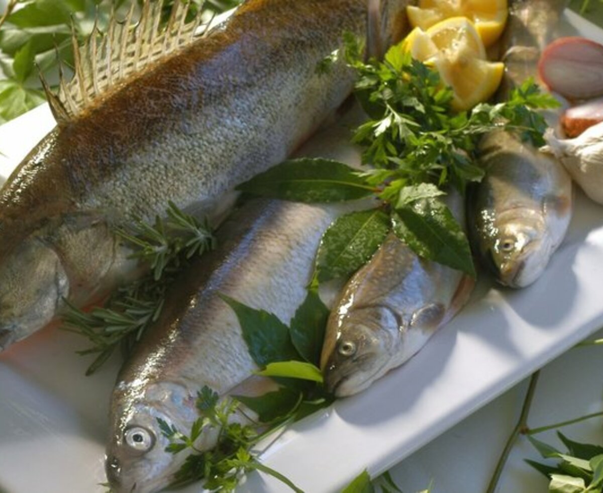 Fangfrischer Fisch aus dem Wolfgangsee | © WTG Fangfrischer Fisch aus dem Wolfgangsee mit Kräutern auf einer Platte präsentiert. | © WTG