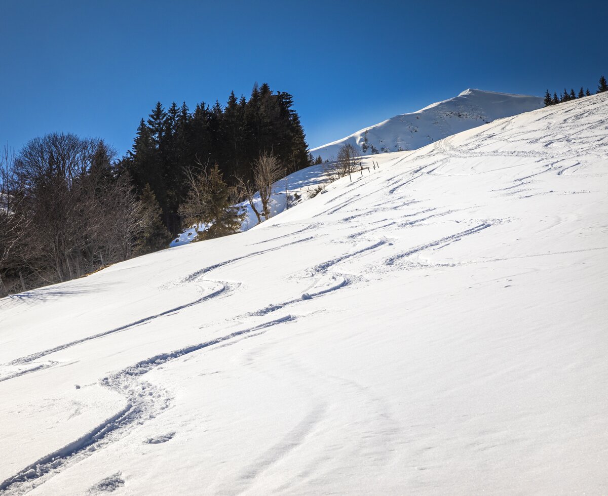 Skispur im Pulverschnee, Dienten am Hochkönig, Salzburger Land | © Urlaub am Bauernhof Salzburger Land / Bernd Suppan Skispur im Pulverschnee, Dienten am Hochkönig, Salzburger Land | © Urlaub am Bauernhof Salzburger Land / Bernd Suppan