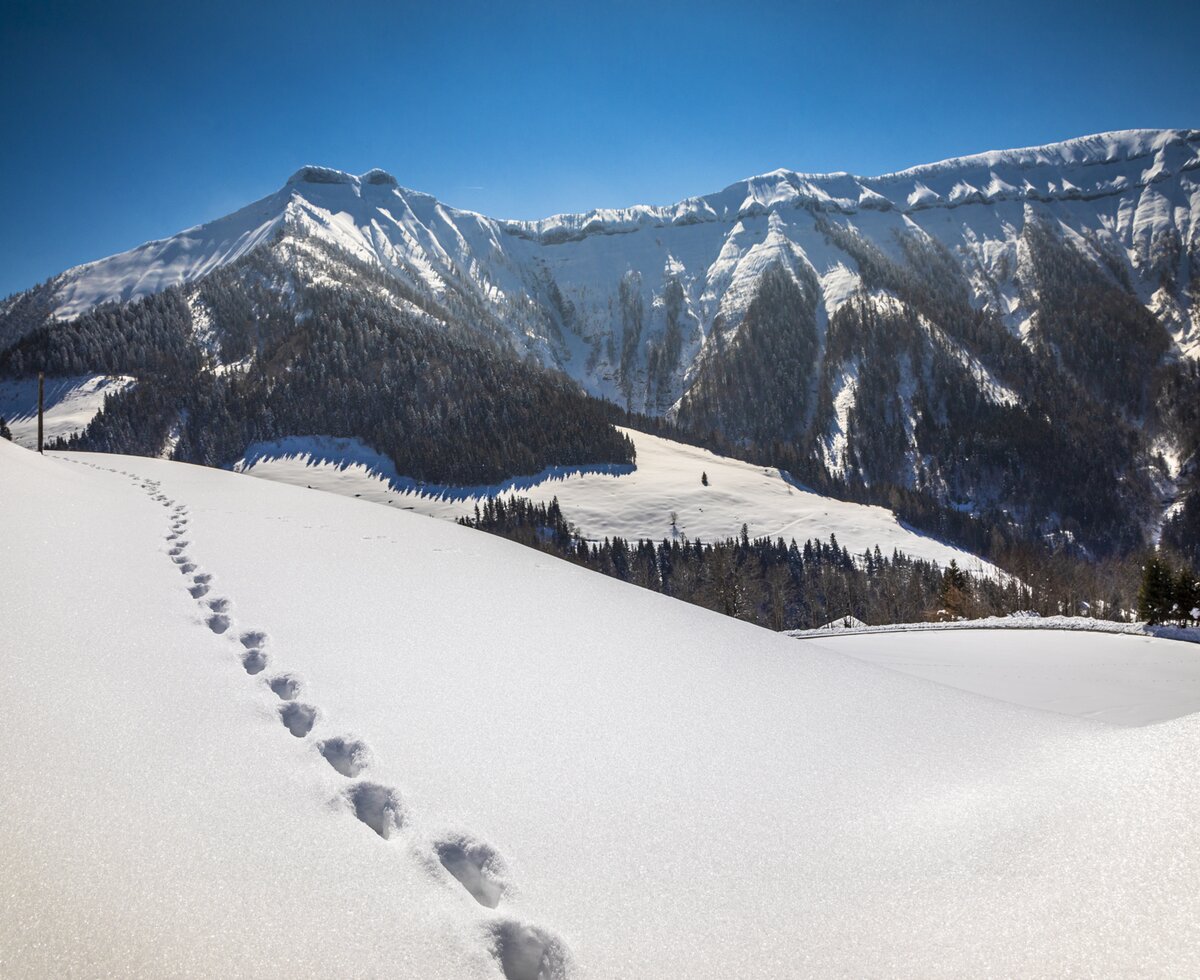 Fußstapfen, Winterlandschaft, Tennengau, Salzburger Land | © Urlaub am Bauernhof Salzburger Land / Bernd Suppan Fußstapfen, Winterlandschaft, Tennengau, Salzburger Land | © Urlaub am Bauernhof Salzburger Land / Bernd Suppan