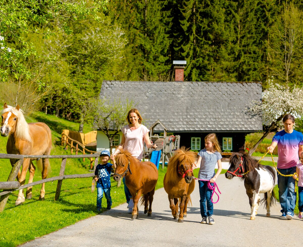 Familienwanderung mit Pferden am Bauernhof, Hochsteiermark, Steiermark | © Urlaub am Bauernhof Steiermark / Wolfgang Spekner