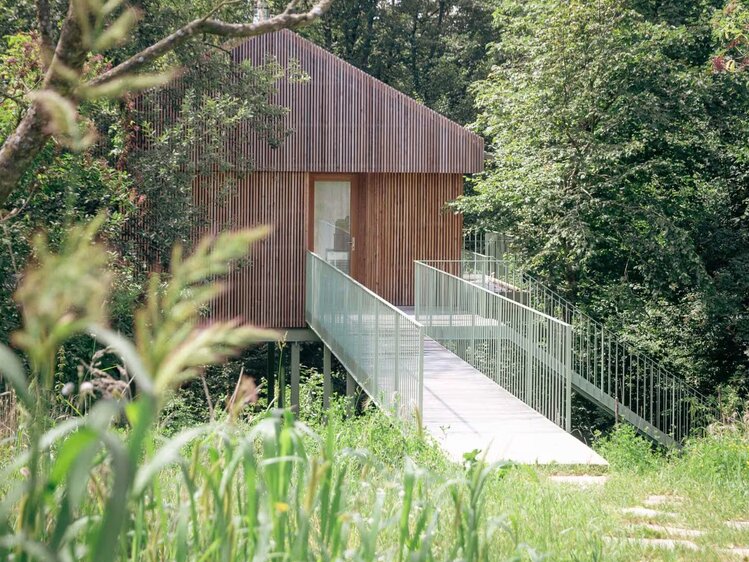 Zugang zum Baumhaus über einen ebenen Steg mit Geländer links und rechts, davor Wiese und umgeben von Bäumen | © Familie Fröhlich-Graf / Robert Anagnostopoulos