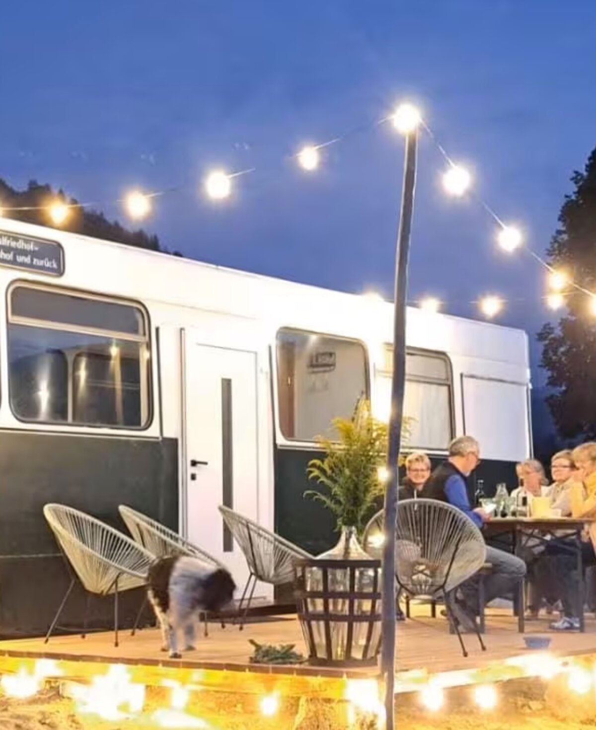 Zu einem Glampingbus umgebauter Grazer Linienbus mit Terrasse, auf der mehrere Personen am Abend mit Beleuchtung sitzen, ein schwarz-weißer Hund geht über die Terrasse. | © Bauernhof Lutzmann / Katrin Lutzmann